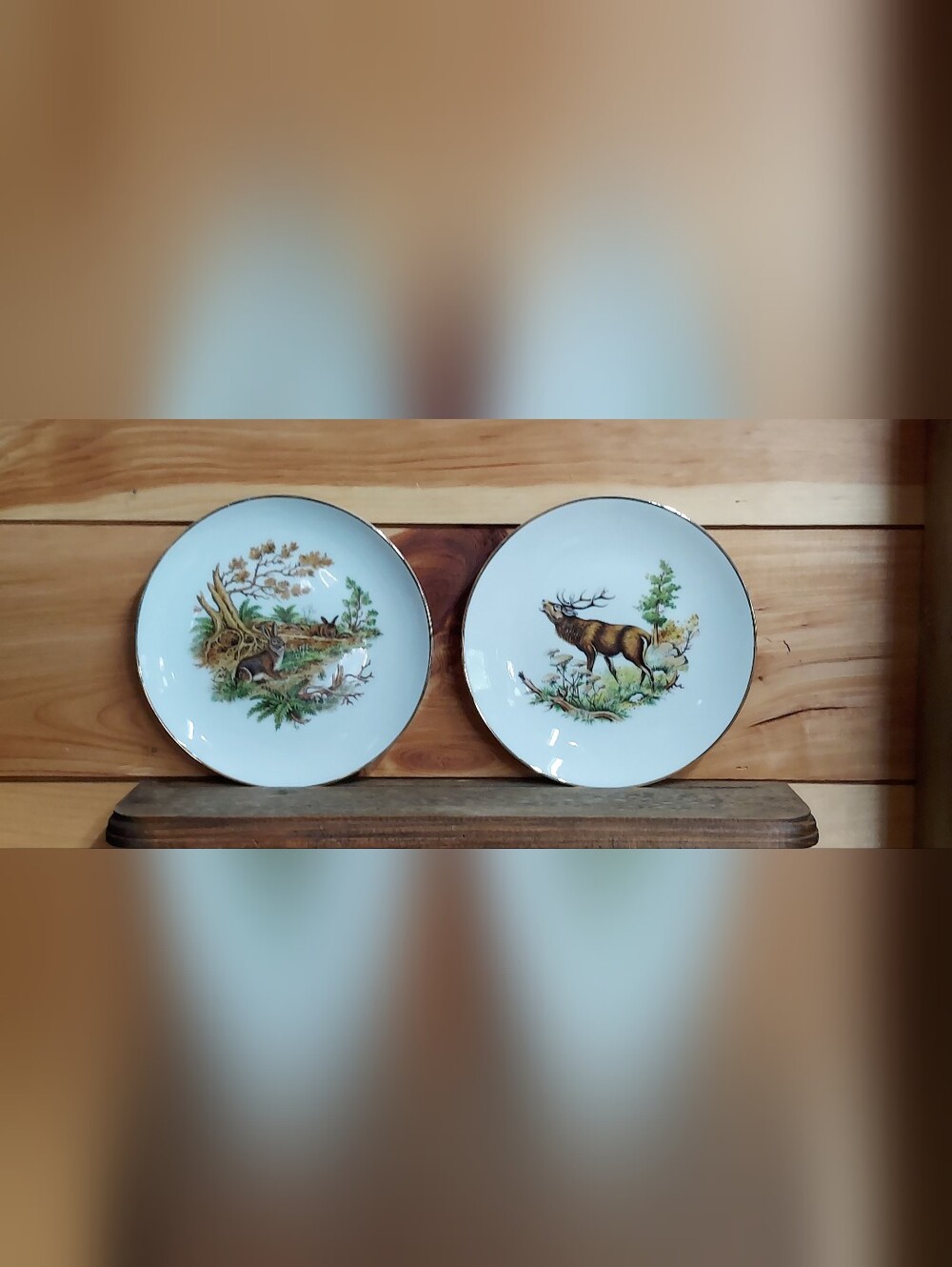Vintage Kuba Porzellan Germany Wildlife Plates - Stag & Rabbit Set of 2